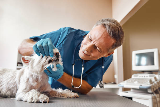 Best Emergency Tooth Extraction in Catoosa, OK